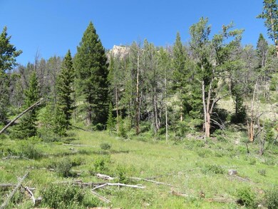 Harrison Quartz Hill Rd, Wise River, MT 59762 - photo 4