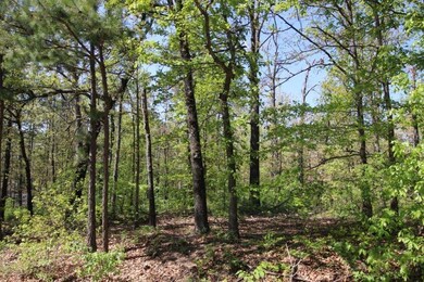 0 Hanover & Branston Cir, Bella Vista, AR 72715 - photo 2