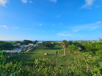 KM 1.6 Carr 4466, Isabela, PR 00662 - photo 4