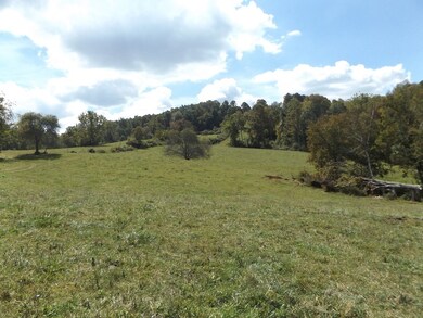 TBD Dugspur Rd, Laurel Fork, VA 24352 - photo 7