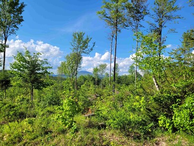 Lot 1 Victoria's Mountain Way, Groton, NH 03241 - photo 5