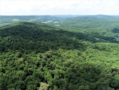 16528 Carpenter Rd, Winslow, AR 72959 - photo 4