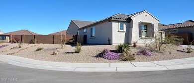 5100 W Calle Vista Del Sur, Tucson, AZ 85742 - photo 2