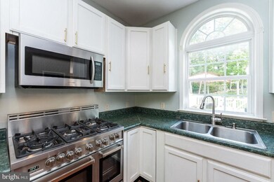 159 High Point Ct, Front Royal, VA 22630 - photo 6