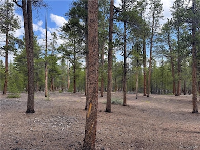 719 Peakview unit 352A, Twin Lakes, CO 81251 - photo 5