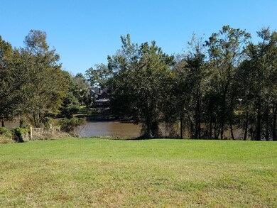 Carrolton Circle River2