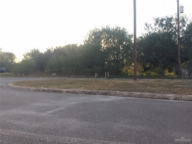 935 E Marion Ave, Pharr, TX 78577 - photo 3