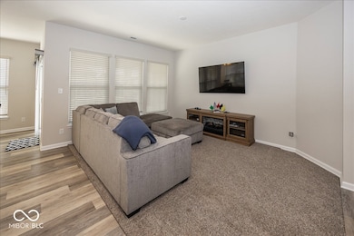 Living area show area rug, not carpeted. Plenty of natural light