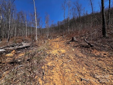 0 Rocky Face Dr unit RF-2, Canton, NC 28716 - photo 4