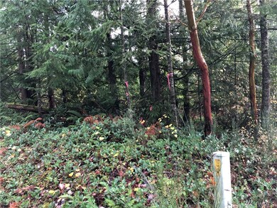 0 Bald Hills Rd SE unit 1686239, Yelm, WA 98989 - photo 3