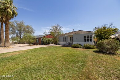 Grass Front Yard