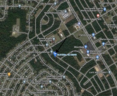 0 SW 36th Avenue Rd unit O6060065, Ocala, FL 34473 - photo 2