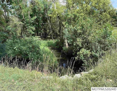 0 N Cedar unit 240237, Nora Springs, IA 50458 - photo 7