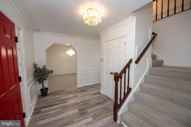 8009 Daffodil Ct, Springfield, VA 22152 - photo 3