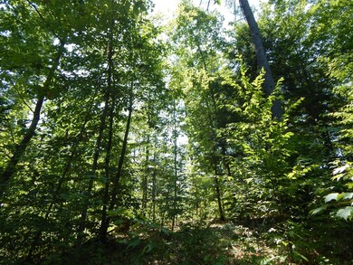 - Cramm Rd, Parsonsfield, ME 04047 - photo 7