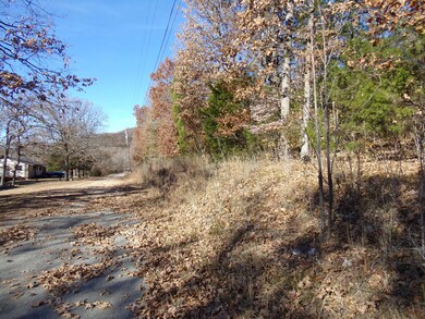 000 Montego Dr, Ruth B Rural Township, MO 65686 - photo 3