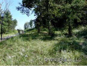 12 Magnolia Farms Dr unit 12, Asheville, NC 28806 - photo 4