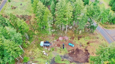 151 W Buck Prairie Rd, Elma, WA 98541 - photo 2