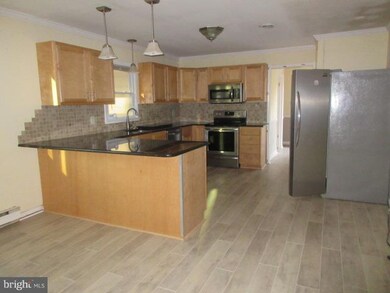 18250 Shingle Point Rd, Georgetown, DE 19947 - photo 5