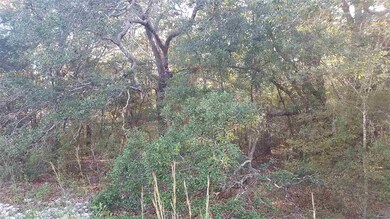 0 Hines St, Crawfordville, FL 32327 - photo 3