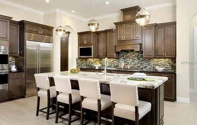 29127 Picana Ln, Wesley Chapel, FL 33543 - photo 4