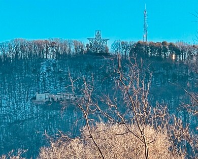 0 Cedar Bluff Ave SE unit 424183, Roanoke, VA 24013 - photo 4