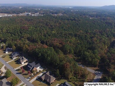 0 Lindsey St unit 1056553, Rainbow City, AL 35906 - photo 2