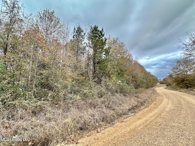 6 County Road 3122, McCool, MS 39108 - photo 3