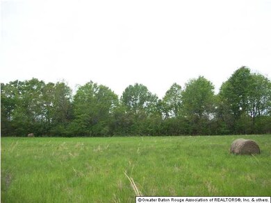 Treeline denotes the edge of the property by Beave