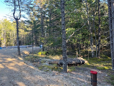 10 Granite Ln, Steuben, ME 04680 - photo 3