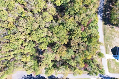 3-web-or-mls-DJI_0016