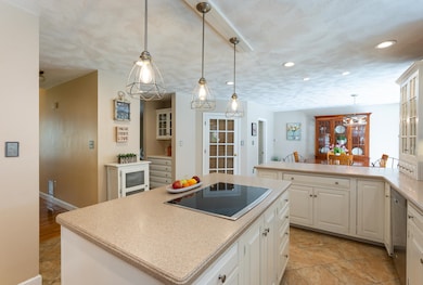 Custom built in cabinets