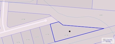 0 Balandre St unit 29765432, Los Fresnos, TX 78566 - photo 2