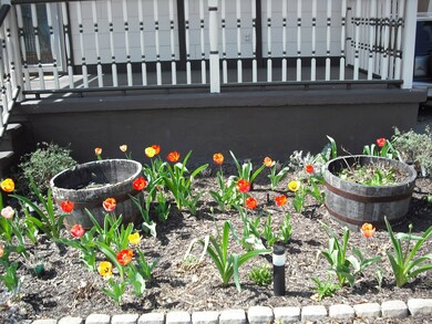 Pretty tulips for Mother's Day!