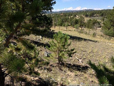 33 Jasper Way, Hartsel, CO 80449 - photo 2