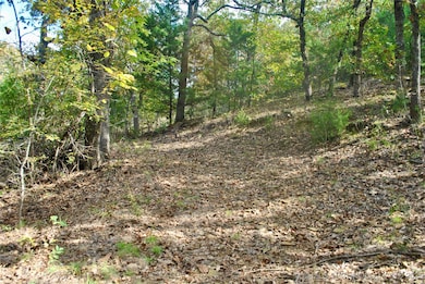 3506 Sawmill Rd, Caddo, OK 74729 - photo 4