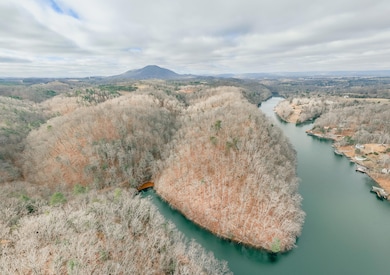 3909 Hodge Hollow Rd, Pulaski, VA 24301 - photo 3