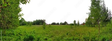 000 Riverview Ave, Buffalo Junction, VA 24529 - photo 2