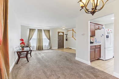 25804 S Daffodil Ln, Monee, IL 60449 - photo 4