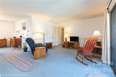 63 Ardis Ln unit D, Hendersonville, NC 28792 - photo 5