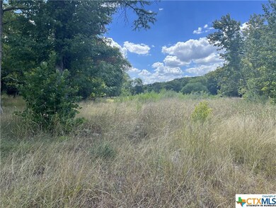 1345 River Terrace, New Braunfels, TX 78130 - photo 5