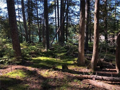 Mossy lot right on the shore