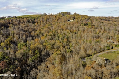 390 Graphite Ct, New Tazewell, TN 37825 - photo 7