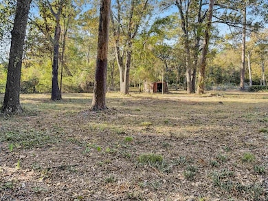 749 Francis St, Hawkins, TX 75765 - photo 5