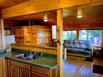 W14355 Plummer Rd, Weyerhaeuser, WI 54895 - photo 7