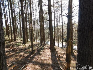 Tract L-12 Panorama Dr, Todd, NC 28684 - photo 6