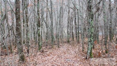Wooded Lot: Multiple Building Sites, Choose your V