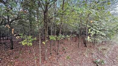 2 S 4531 Rd, Vian, OK 74962 - photo 6