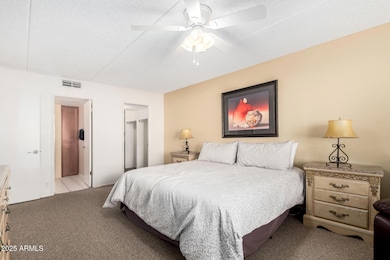 13 - Camelback 10-28-25