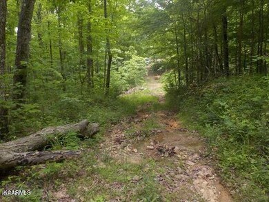 0 Lea Lakes Rd unit 1220944, Blaine, TN 37709 - photo 3